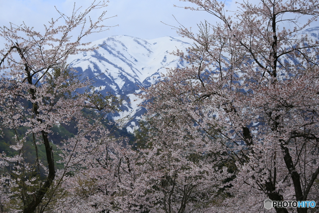 撮って出し-Canon EOS 6D-90.0-41_04_24-2