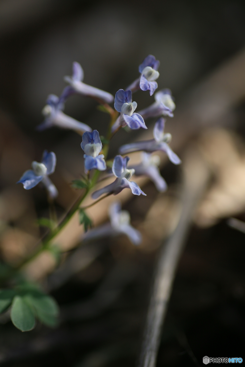撮って出し(2024-04-12_14-44)-(Canon EOS 6D-90