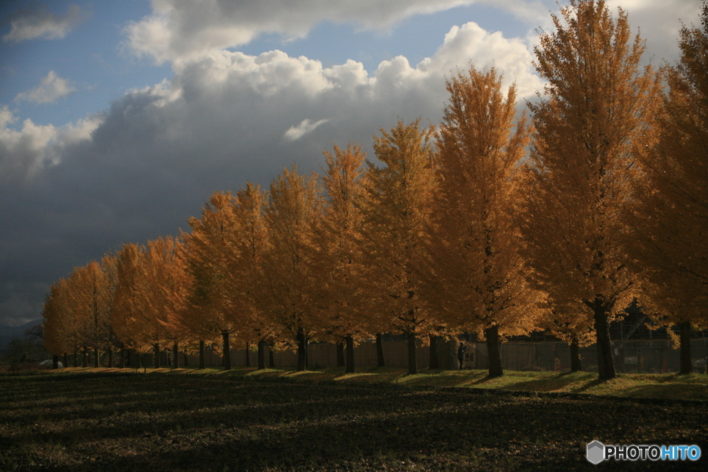 撮って出し(2024-11-07_14-13)-(Canon EOS 5D-80