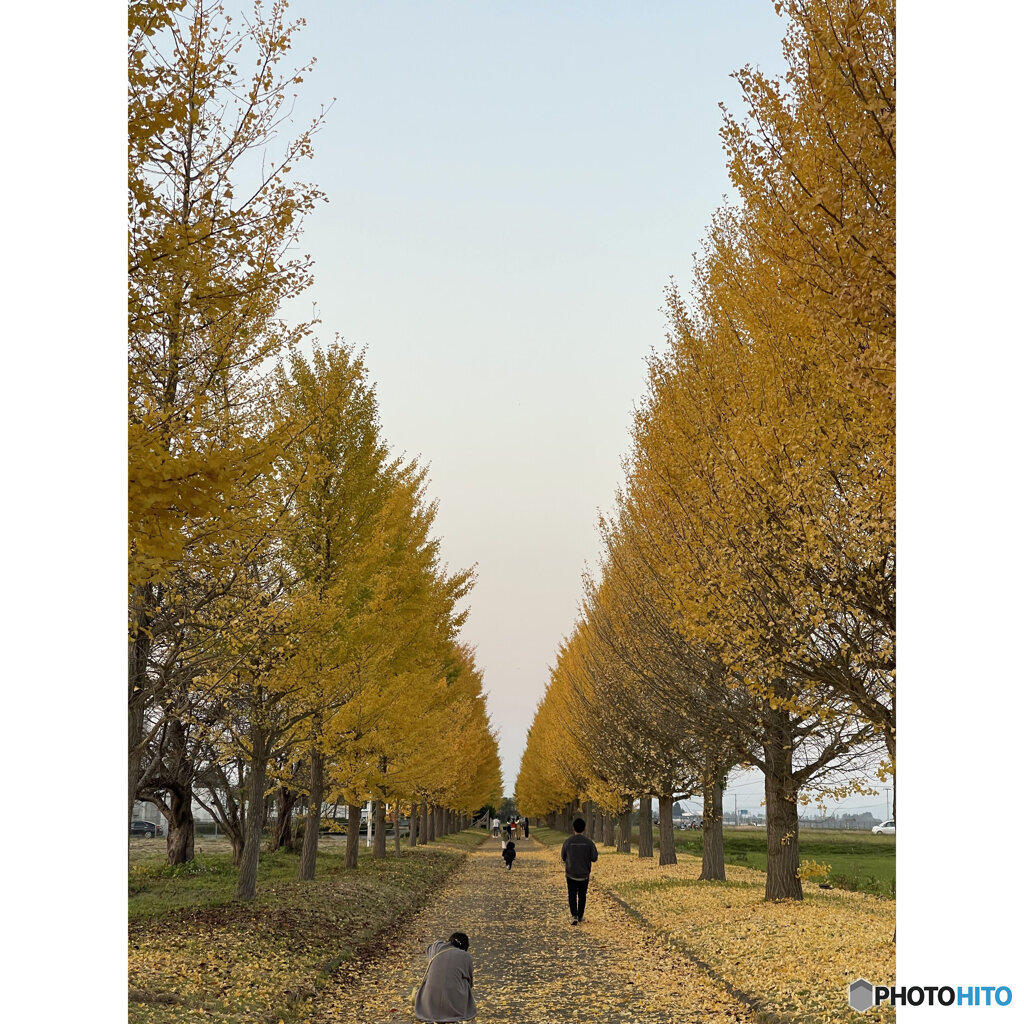 撮って出し(2023-11-03_16-29)--7.5