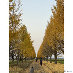 撮って出し(2023-11-03_16-29)--7.5