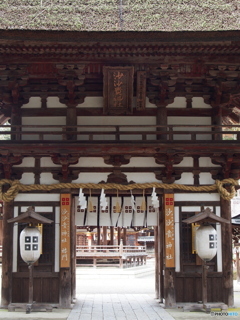 撮って出し(2024-03-06_13-57)-(E-M5-31(OLYMPUS