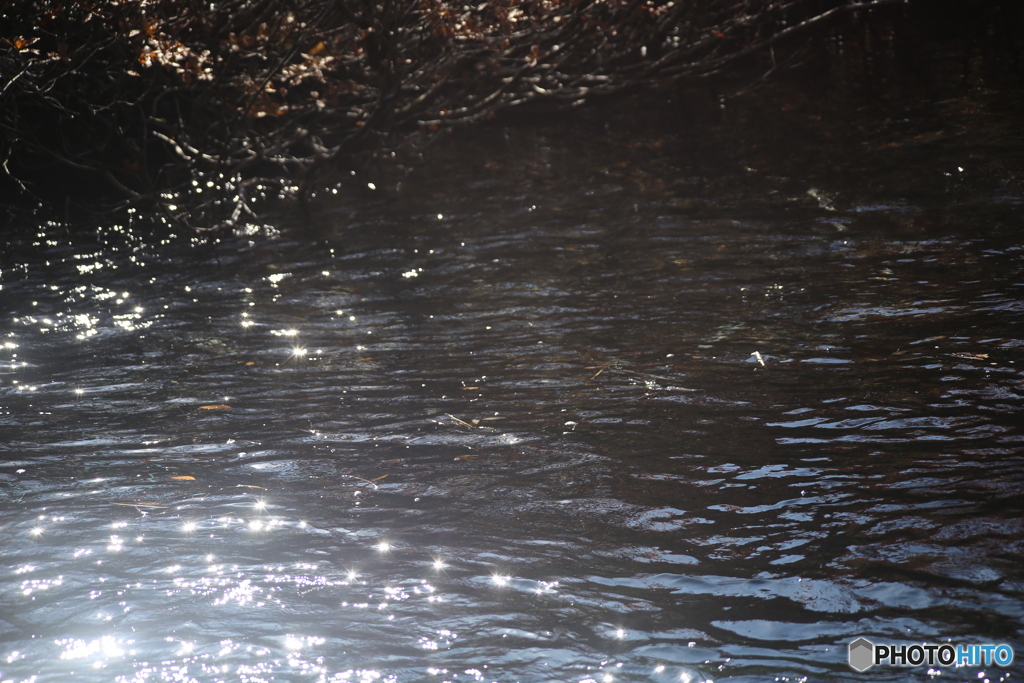 撮って出し(2025-11-04_10-09)-(Canon EOS 6D-10