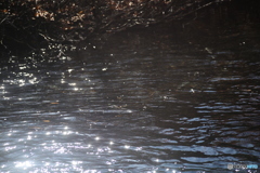 撮って出し(2025-11-04_10-09)-(Canon EOS 6D-10