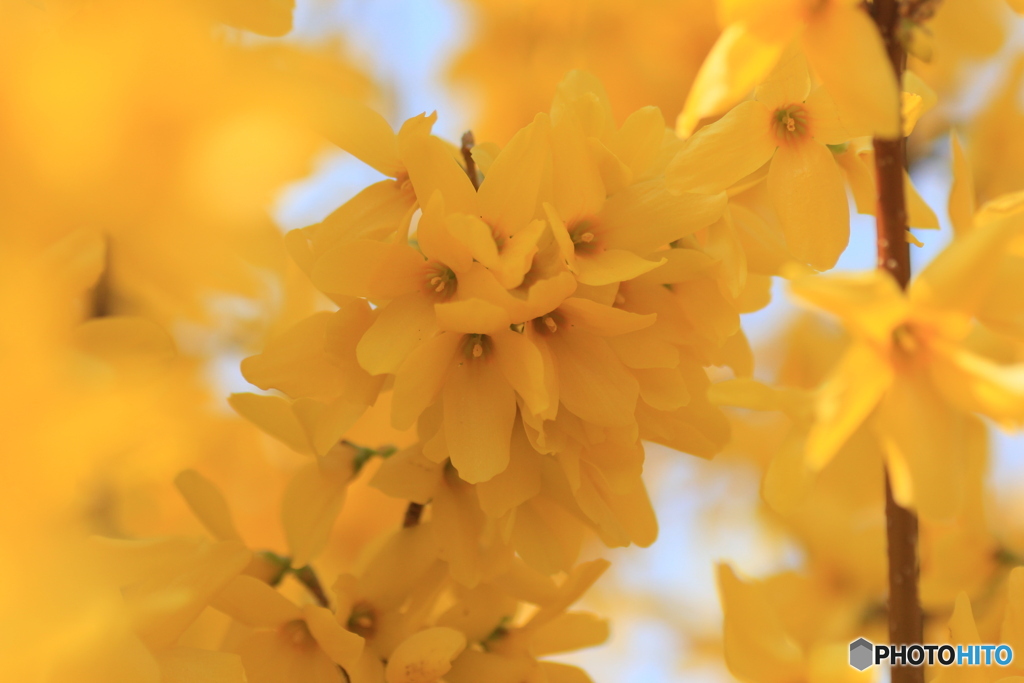 撮って出し-Canon EOS 60D-90.0-41_04_04-2