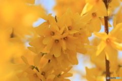 撮って出し-Canon EOS 60D-90.0-41_04_04-2