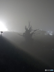 撮って出し(2024-08-31_23-09)-(iPhone 12 Pro M