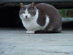 撮って出し-E-M5-150.0-41_04_15-2