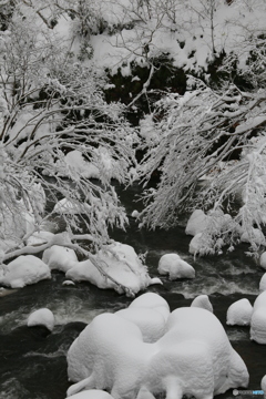 撮って出し-Canon EOS 6D-85.0-40_12_20-0