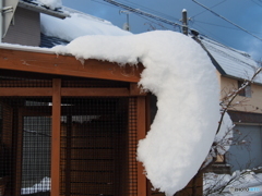 撮って出し(2024-12-19_08-13)-(E-M5-29(OLYMPUS