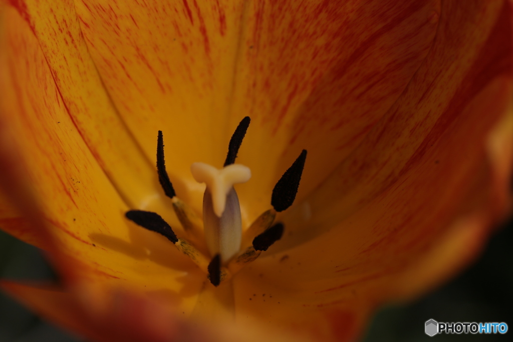 撮って出し(2024-04-18_08-58)-(Canon EOS 6D-90