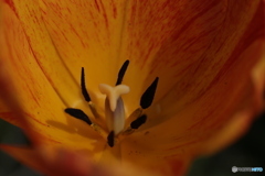 撮って出し(2024-04-18_08-58)-(Canon EOS 6D-90