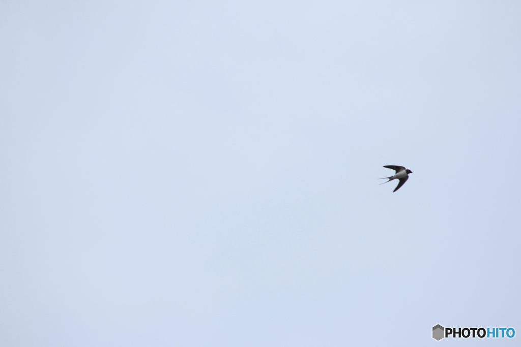 撮って出し(2025-04-18_09-14)-(Canon EOS 60D-2