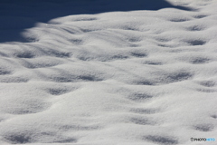 撮って出し(2025-01-11_11-19)-(Canon EOS 60D-1