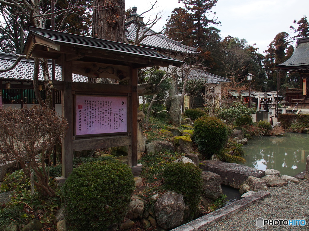 撮って出し(2024-03-06_14-16)-(E-M5-14(OLYMPUS