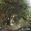 撮って出し(2024-04-12_13-57)-(Canon EOS 6D-90