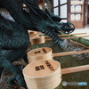 撮って出し(2024-03-06_14-02)-(E-M5-14(OLYMPUS