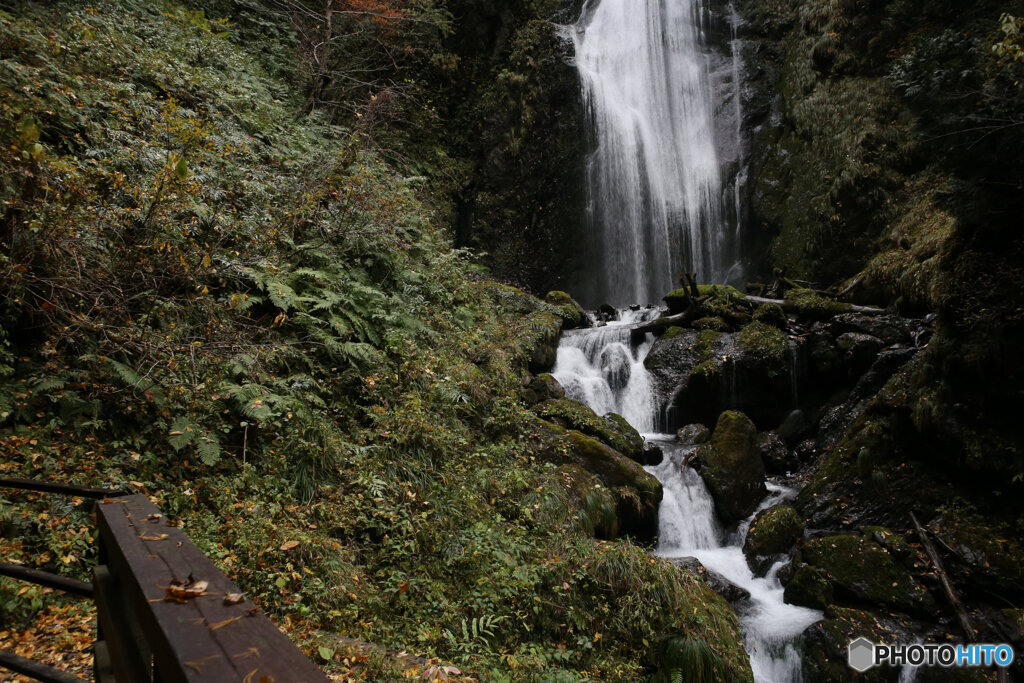 撮って出し(2025-11-07_13-07)-(Canon EOS 6D-24