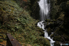 撮って出し(2025-11-07_13-07)-(Canon EOS 6D-24