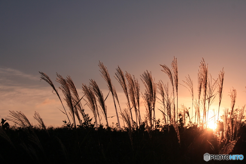 撮って出し-Canon EOS 60D-50.0-22_09_14-0