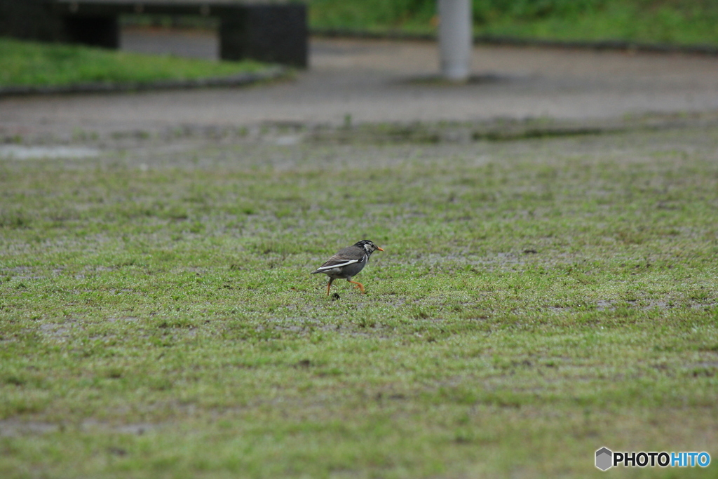撮って出し(2025-05-11_10-11)-(Canon EOS 60D-2