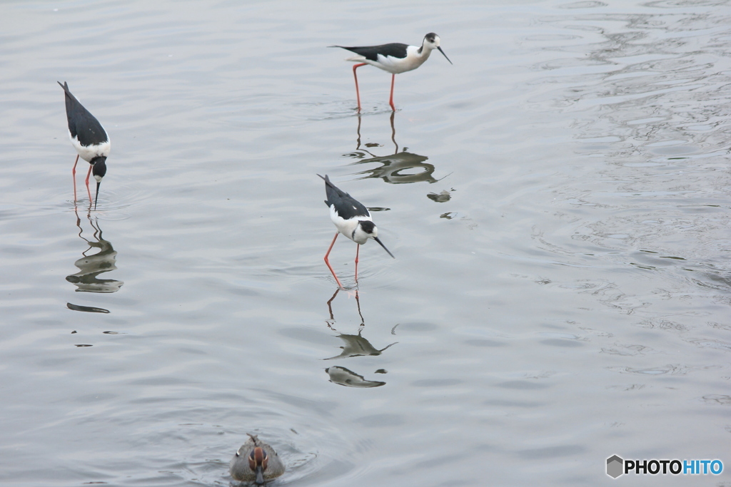 撮って出し(2025-04-27_13-05)-(Canon EOS 60D-1