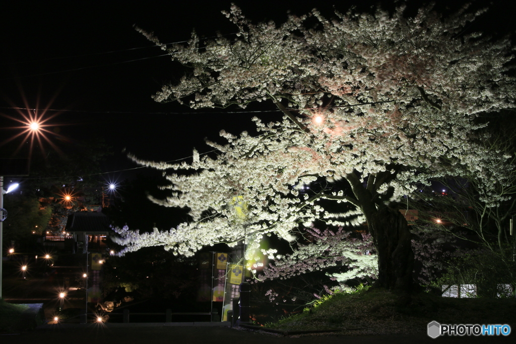 撮って出し-Canon EOS 6D-0.0-41_04_12-4