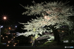 撮って出し-Canon EOS 6D-0.0-41_04_12-4