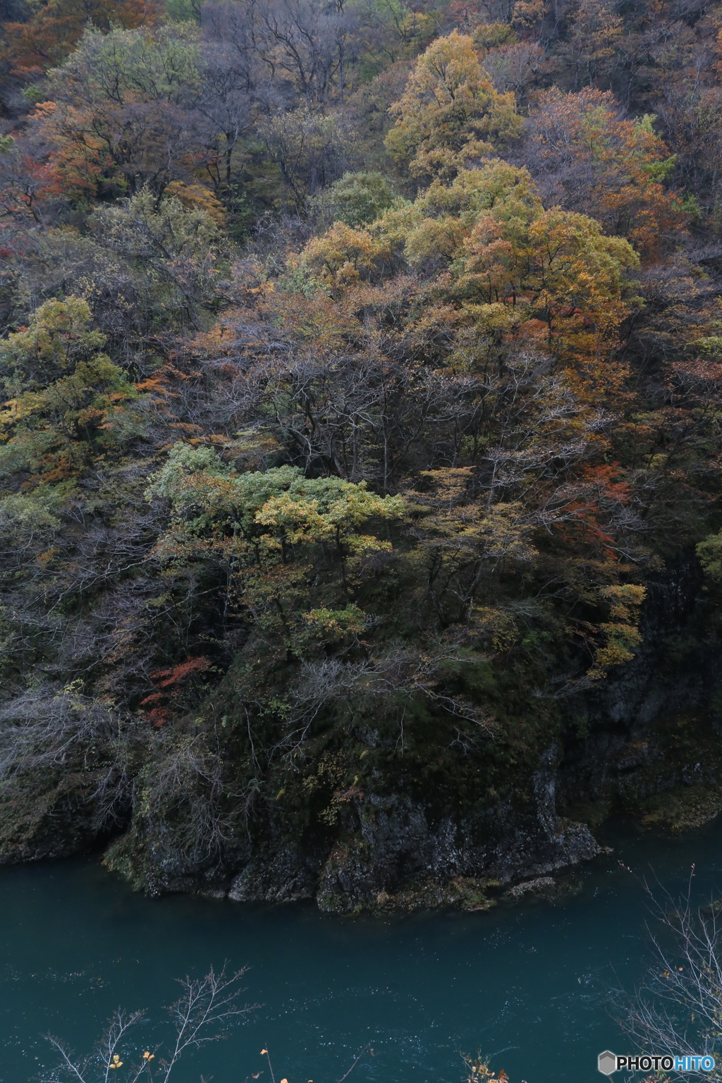 撮って出し(2025-11-07_13-46)-(Canon EOS 6D-28