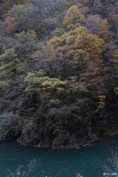 撮って出し(2025-11-07_13-46)-(Canon EOS 6D-28