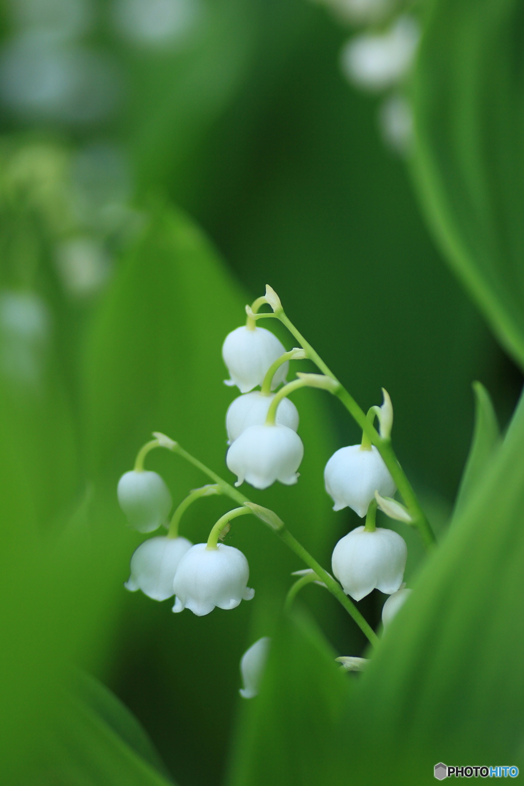 撮って出し-Canon EOS 60D-90.0-23_05_18-2