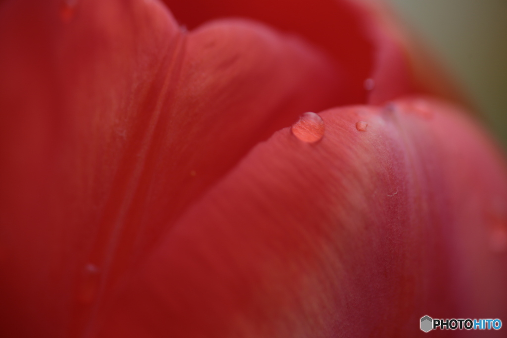 撮って出し(2024-04-17_09-12)-(Canon EOS 6D-90