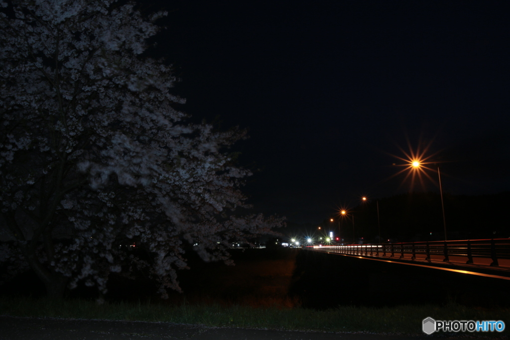 撮って出し(2024-04-18_19-05)-(Canon EOS 6D-0(