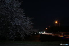 撮って出し(2024-04-18_19-05)-(Canon EOS 6D-0(