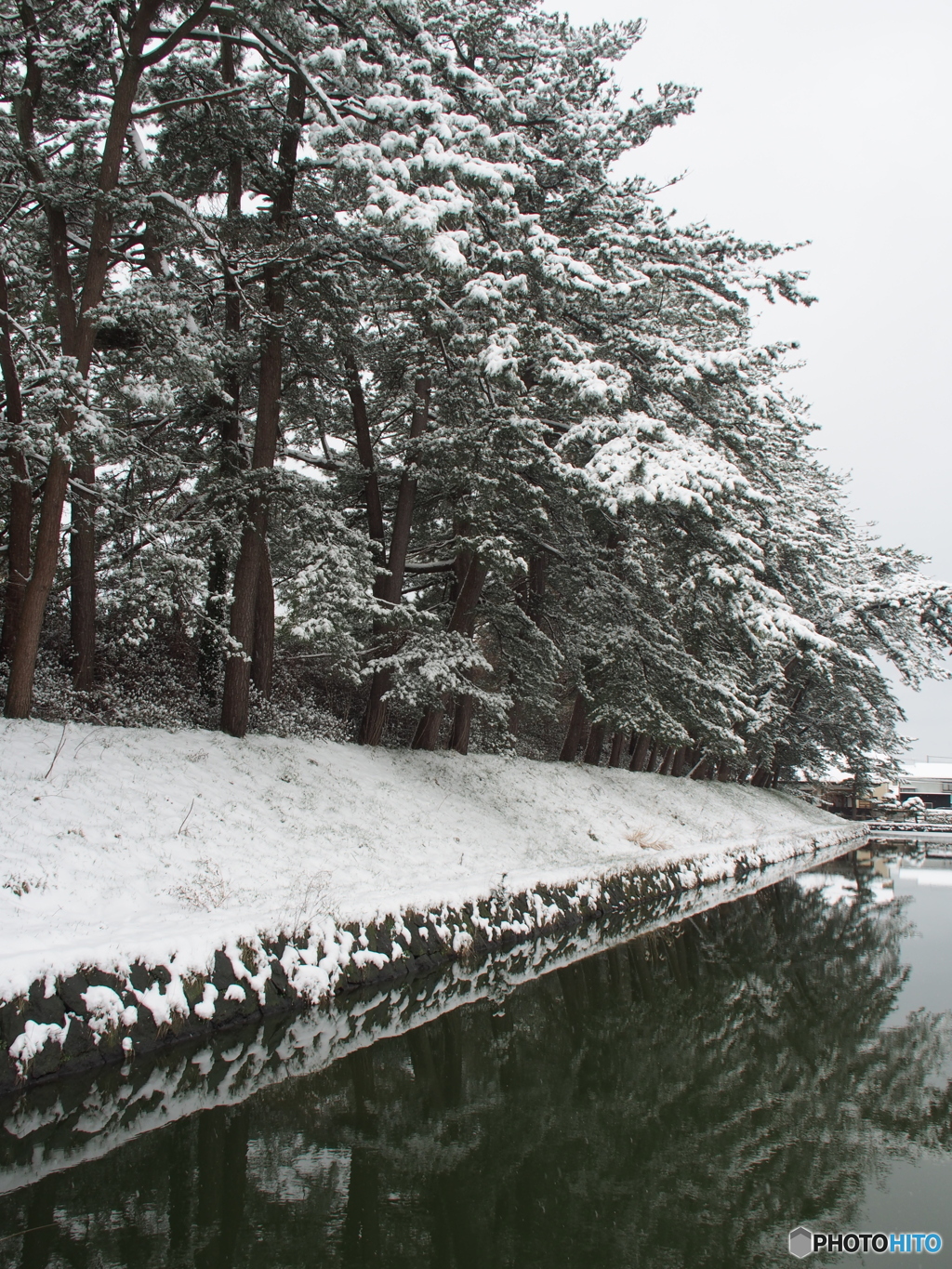 撮って出し(2024-02-22_10-47)-(E-M5-15(OLYMPUS