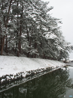 撮って出し(2024-02-22_10-47)-(E-M5-15(OLYMPUS