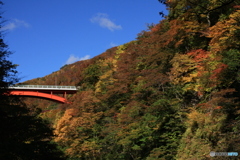 撮って出し-Canon EOS 60D-47.0-22_10_31-0