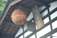 撮って出し(2024-11-06_15-02)-(Canon EOS 5D-80