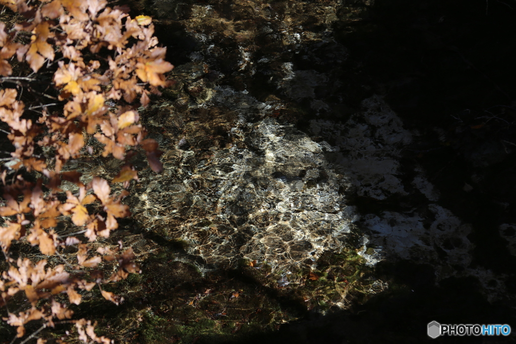 撮って出し(2025-11-04_10-08)-(Canon EOS 6D-13