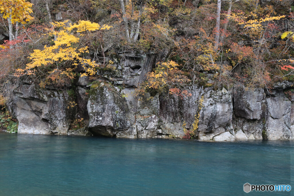 撮って出し(2025-11-04_12-59)-(Canon EOS 6D-65