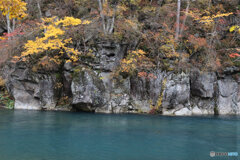 撮って出し(2025-11-04_12-59)-(Canon EOS 6D-65