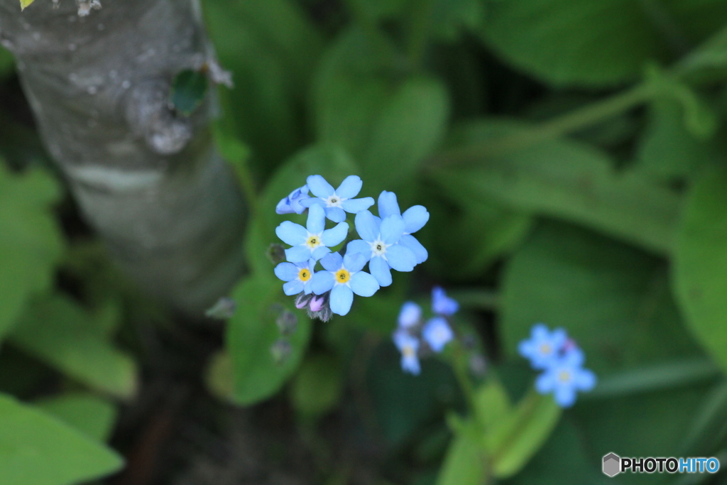 撮って出し-Canon EOS 60D-90.0-23_05_17-13