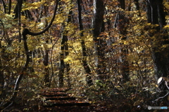 撮って出し(2025-11-04_08-31)-(Canon EOS 6D-13