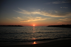 撮って出し(2024-09-10_17-50)-(Canon EOS 60D-1