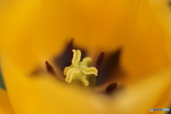 撮って出し(2024-04-18_09-46)-(Canon EOS 6D-90