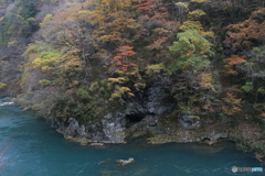 撮って出し(2025-11-07_13-44)-(Canon EOS 6D-28