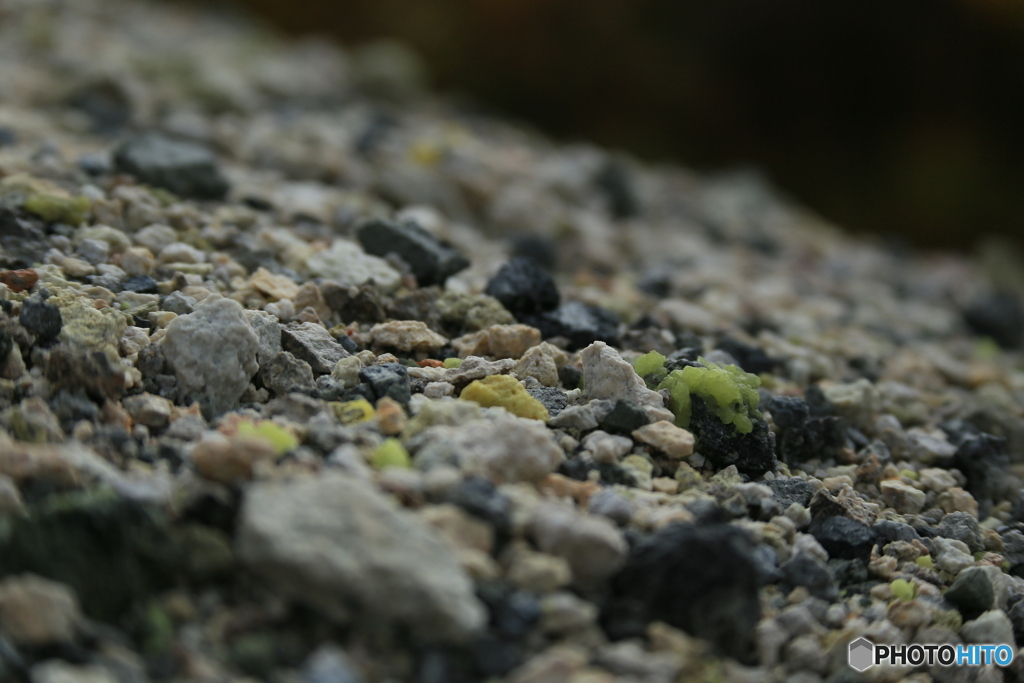 撮って出し-Canon EOS 6D-135.0-23_10_16_IMG_66