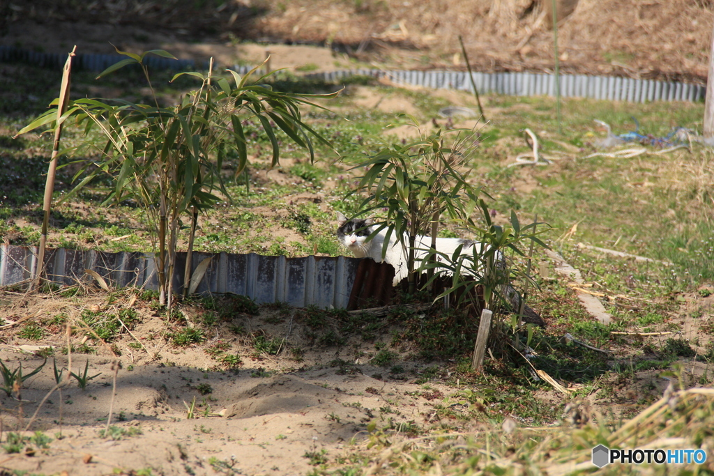 撮って出し-Canon EOS 60D-200.0-41_03_22-0
