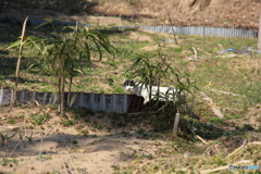 撮って出し-Canon EOS 60D-200.0-41_03_22-0