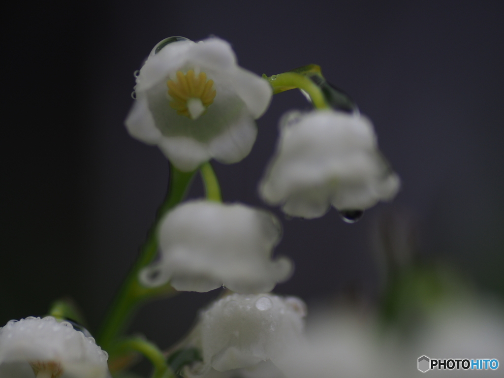 撮って出し(2025-05-21_10-12)-(E-M5-0())_03